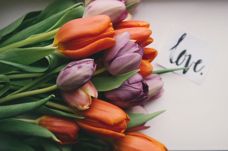 Blumen zum Stillen Abschied