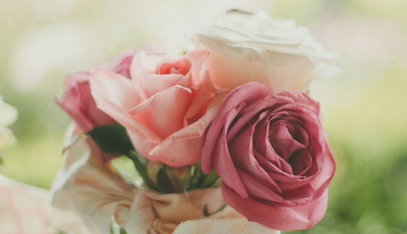 Blumen die ein Teil der Bestattungskosten sind